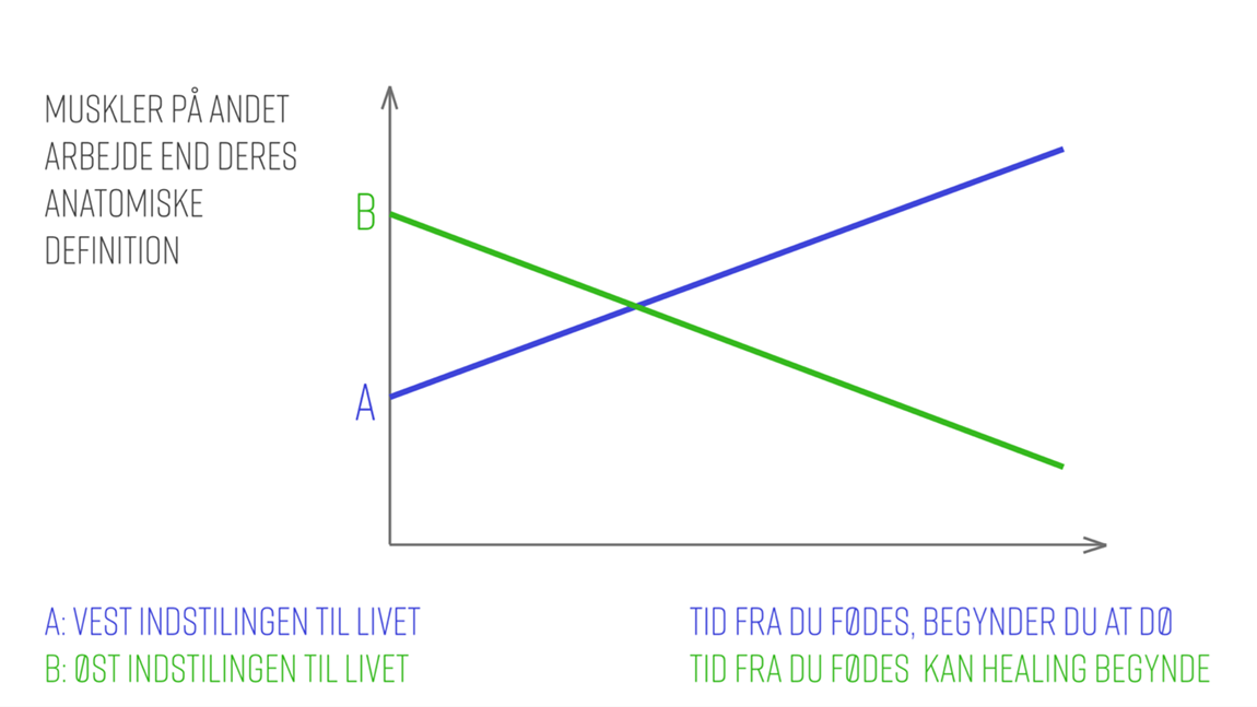 artikel-diagram_295